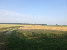 img_2237_web